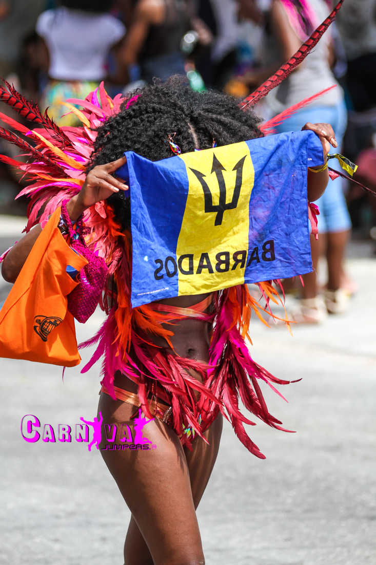 Global MeetrBARBADOS SOCA JUNKIE